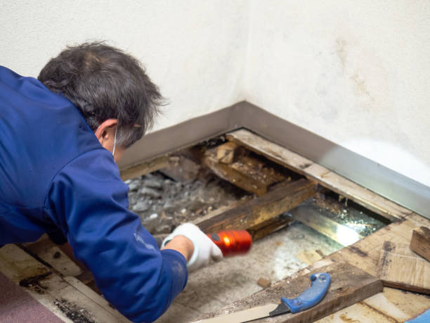 Best Mold Testing  in Titusville, PA