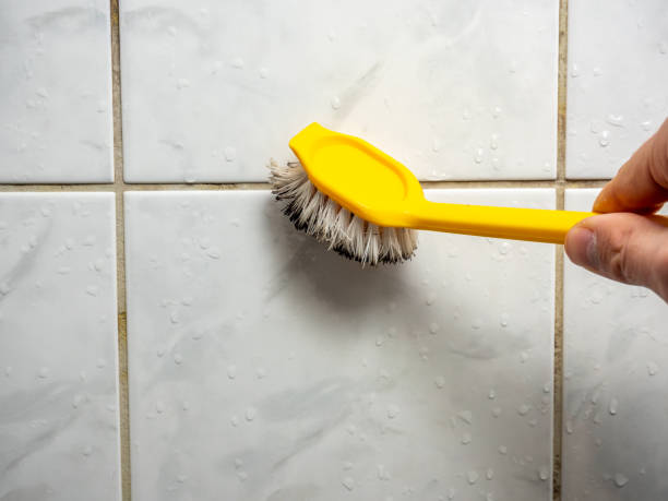Best Mold Testing  in Titusville, PA