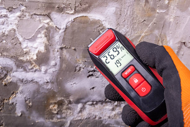 Best Mold Removal Process  in Titusville, PA