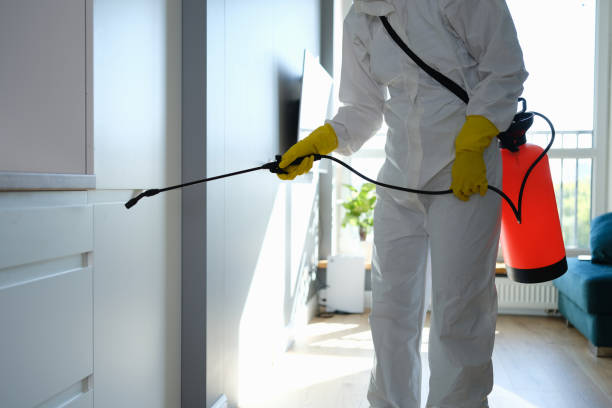 Best Affordable Mold Removal  in Titusville, PA