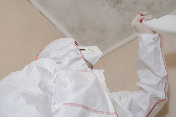 Titusville, PA Mold Removal Company